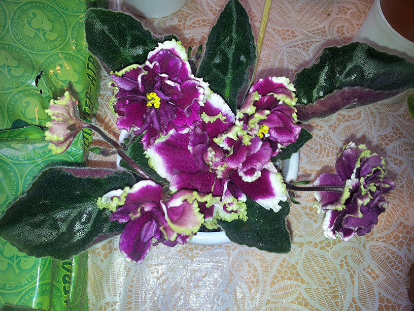 20130304_142448..jpg