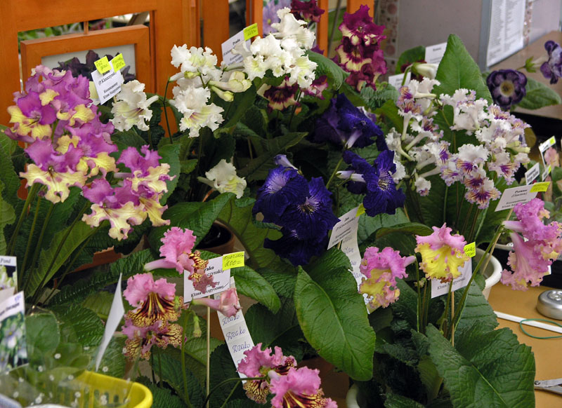 P3281300.JPG