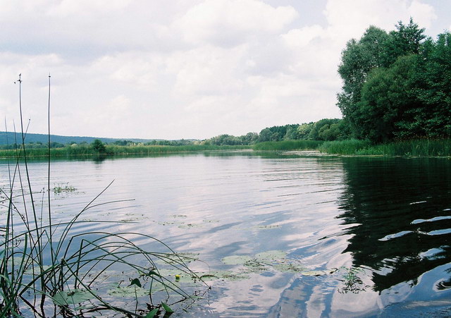 Теплая июльская вода.jpg