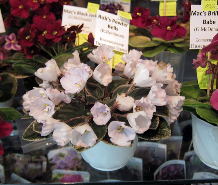 Rob's-Pewter-Bells.jpg