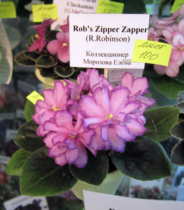 Rob's-Zipper-Zapper.jpg
