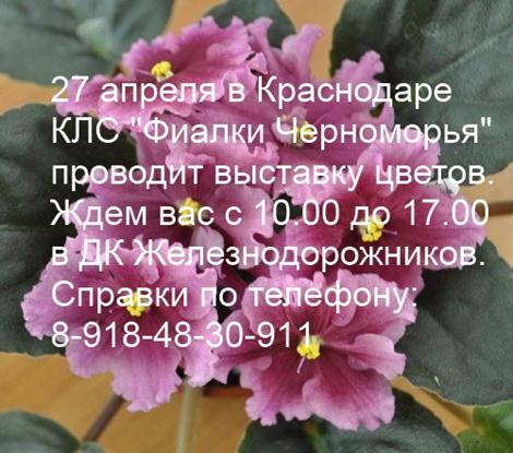 выставка апрель.jpg