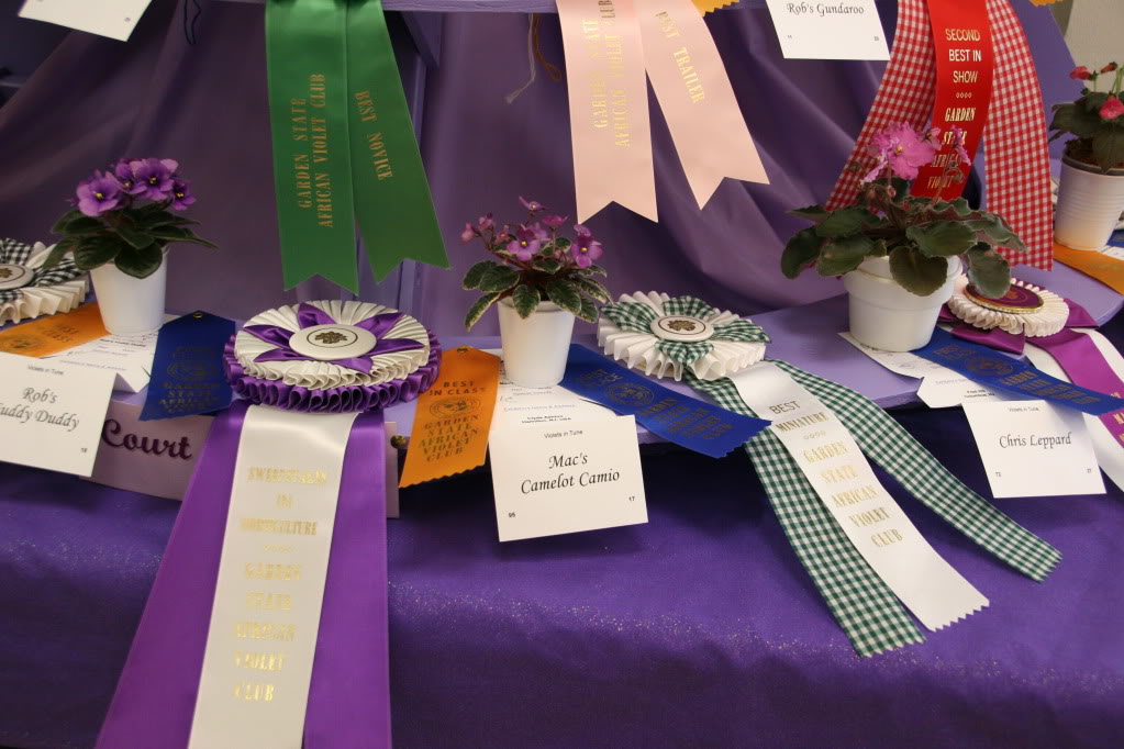 Mac's Camelot Cameo_Best mini.jpg