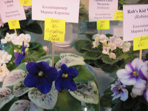 IMG_2571.jpg