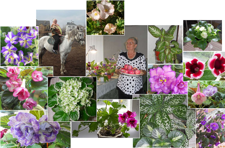 Алла Тимофеевна.jpg