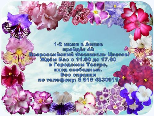 фестиваль.jpg