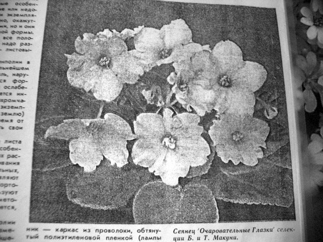 CIMG1190.JPG