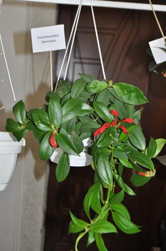 DSC_0325.JPG