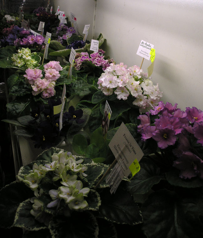 P6171940.JPG