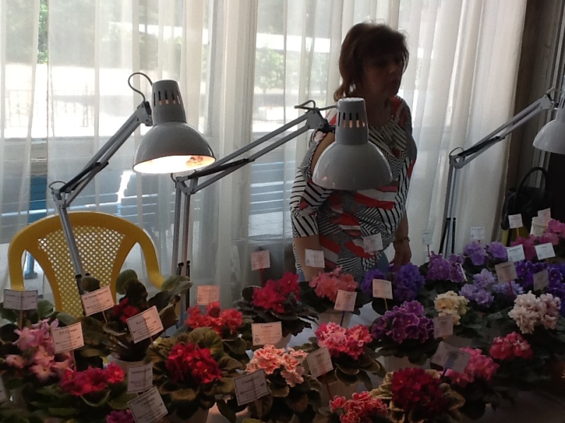 Елена Руденко