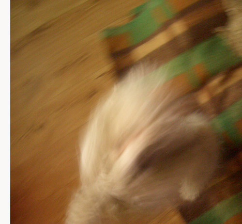 CIMG0764.jpg