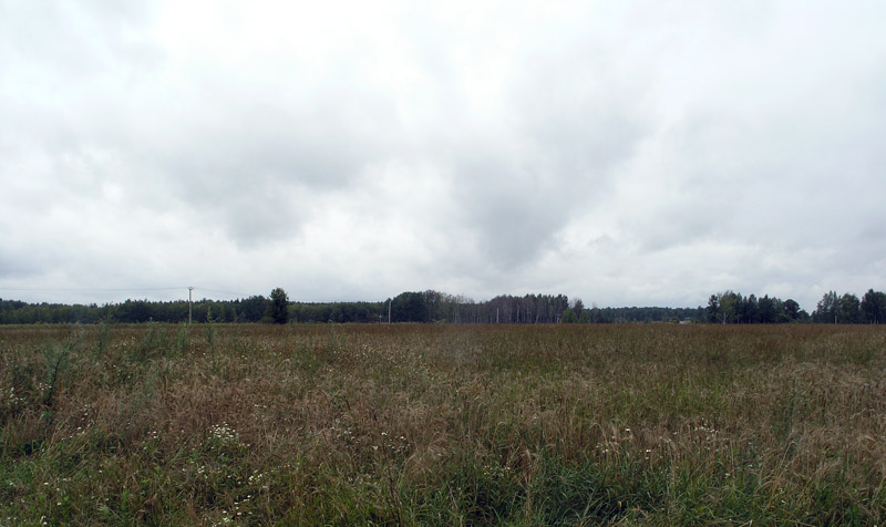 P7272491.JPG