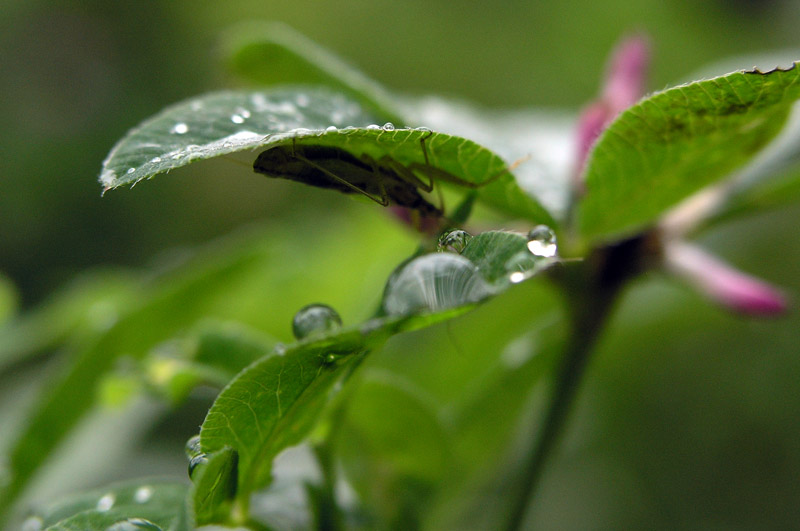 P7272529.JPG