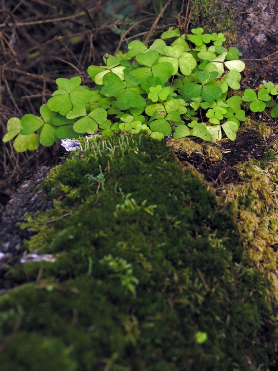 P7272554.JPG