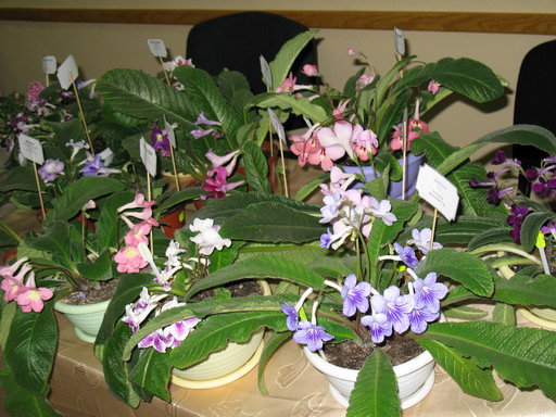 IMG_26632.jpg