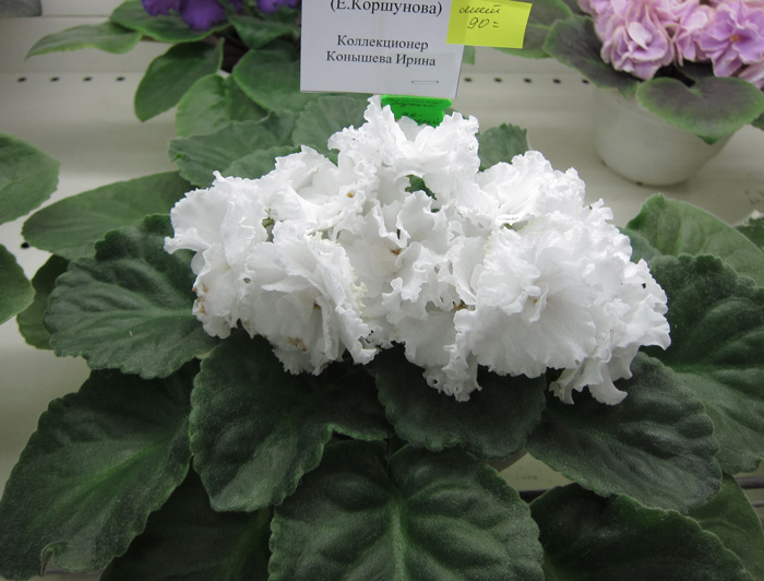 ЕК-Зимний-Букет.jpg