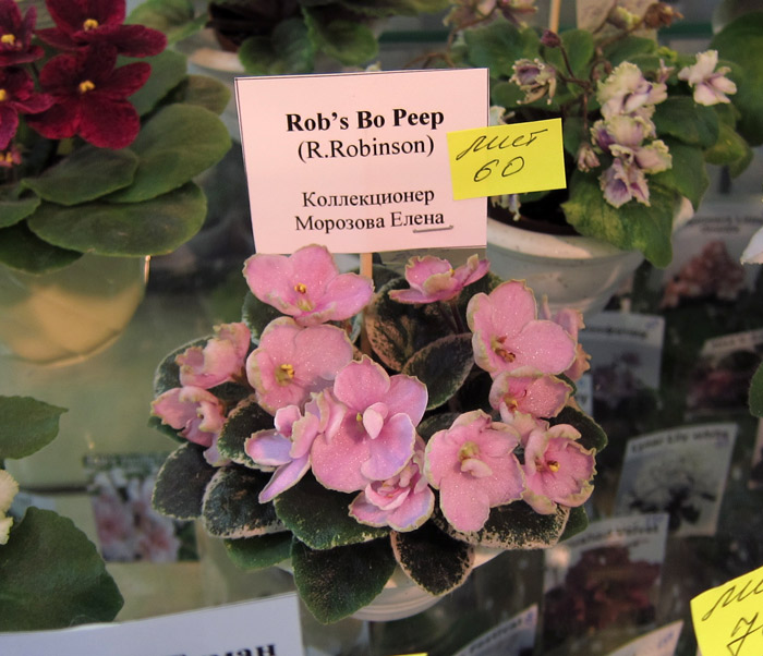 Rob's-Bo-Peep.jpg