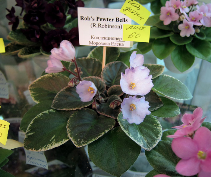 Rob's-Pewter-Bells.jpg