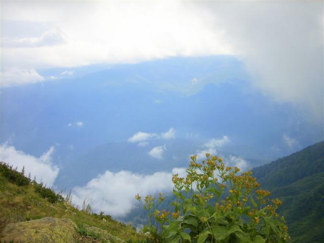 SPA50126 (Small).JPG