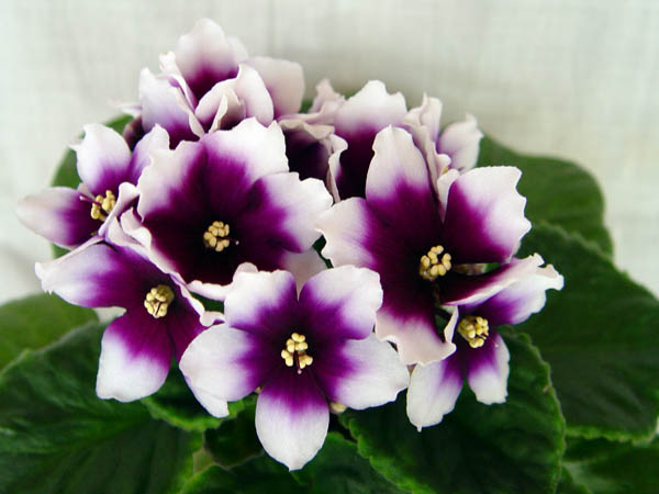DSC05880.jpg