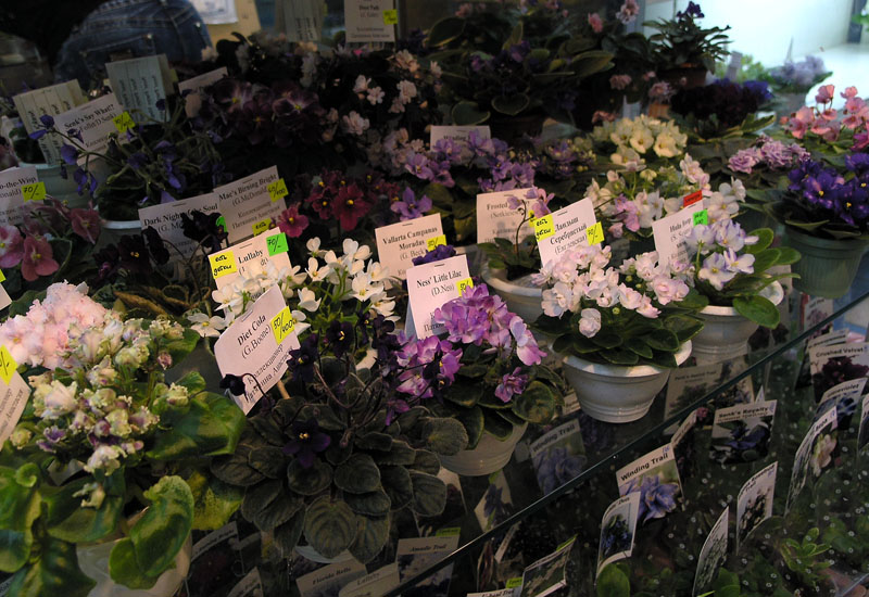 P8292755.JPG