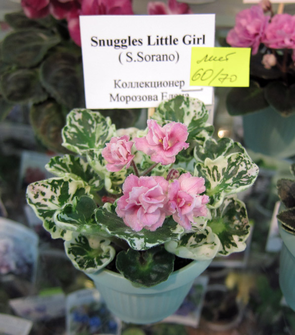 Snuggles-Little-Girl.jpg