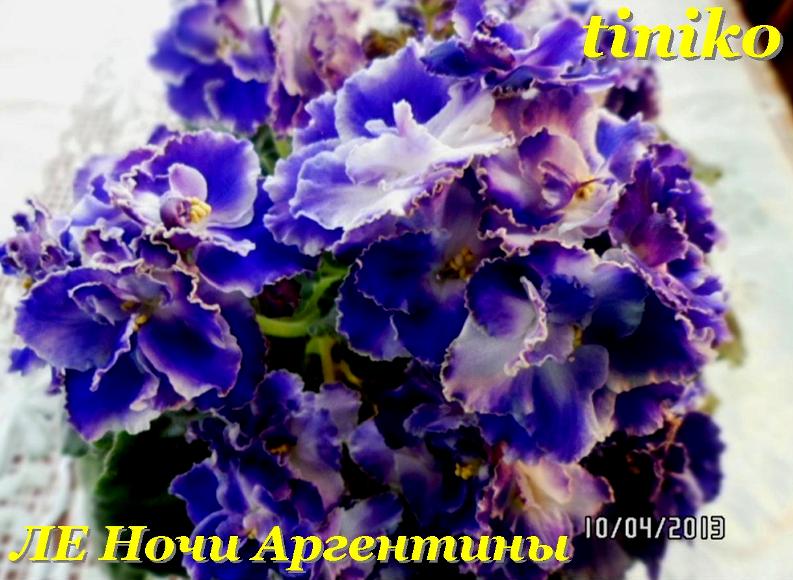 ЛЕ Ночи Аргентины (7).jpg