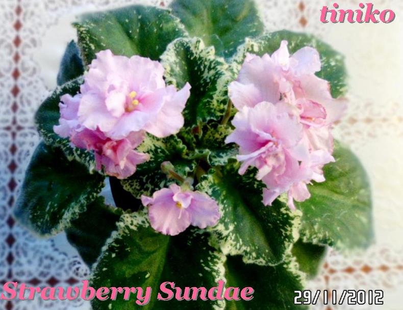Strawberry Sundae .jpg