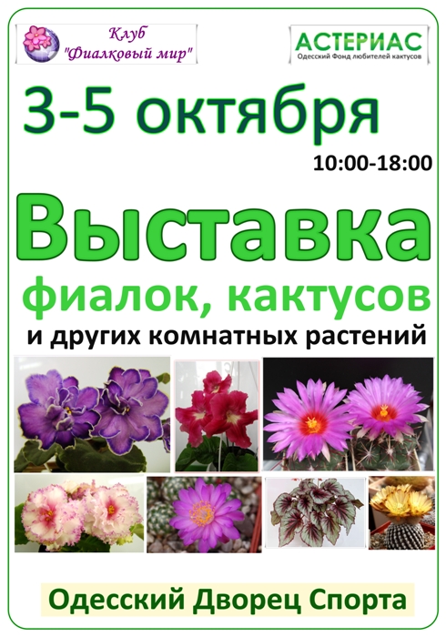 афиша большая.jpg