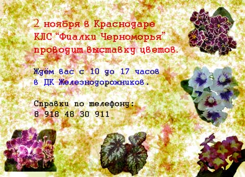 -ОБЪЯВЛЕНИЕ1.jpg
