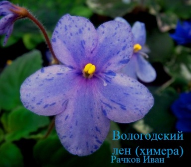 DSC02666.JPG