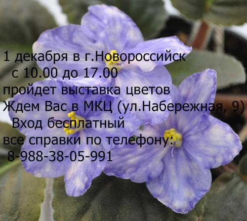 обьявление.JPG