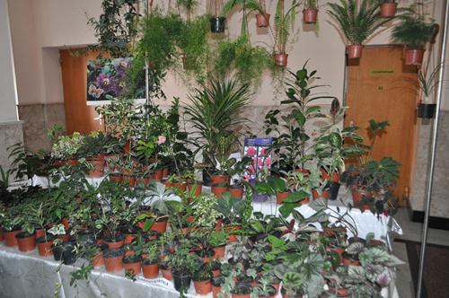 DSC_5302.JPG