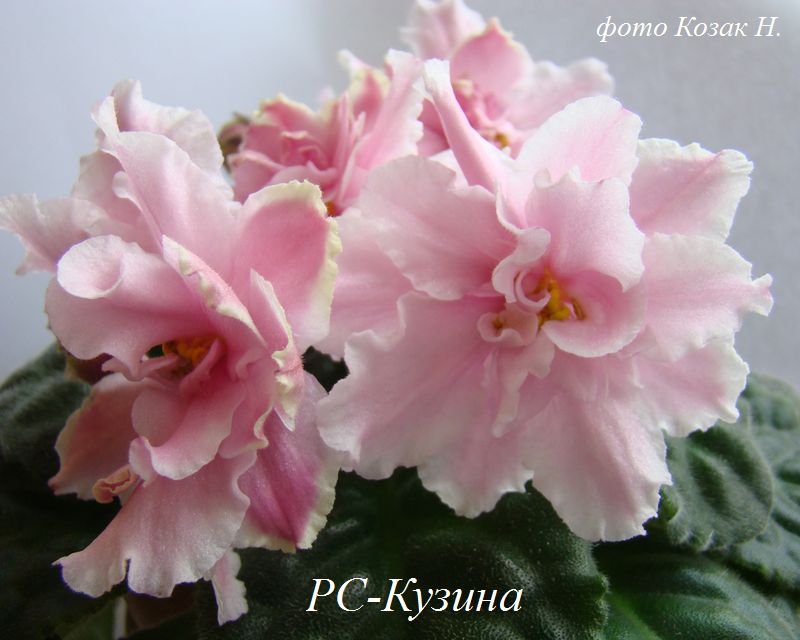 DSC04058.JPG