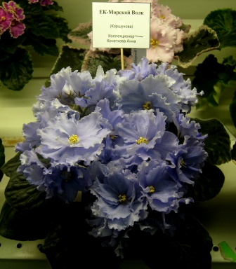 PICT0060.JPG