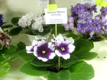 PICT0029.JPG
