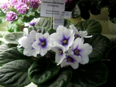 PICT0057.JPG