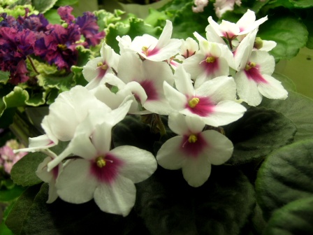 PICT0102.JPG