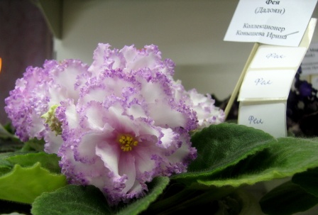 PICT0109.JPG