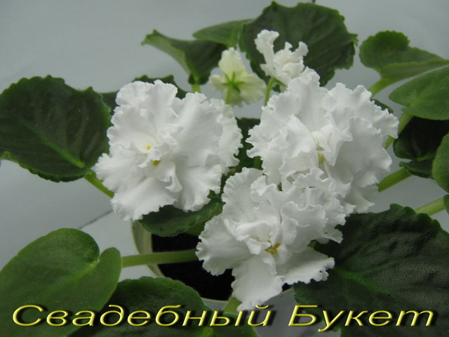 Свадебный Букет2.jpg