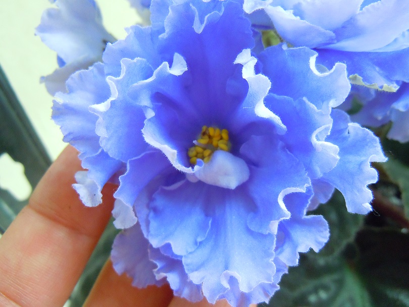 DSCN8885.JPG