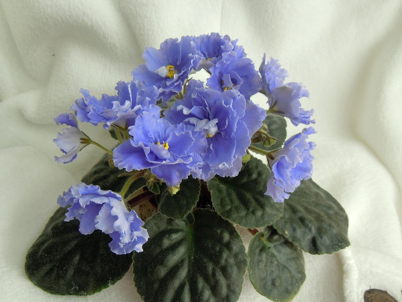 DSCN8832.JPG
