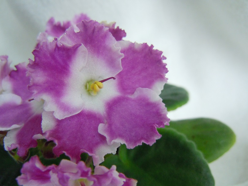 DSCN8870.JPG
