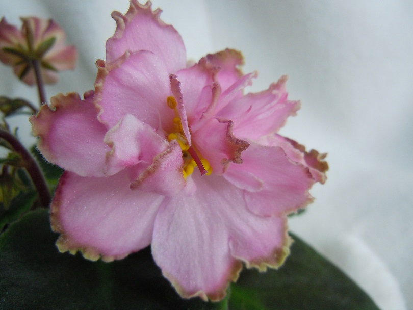 DSCN8845.JPG