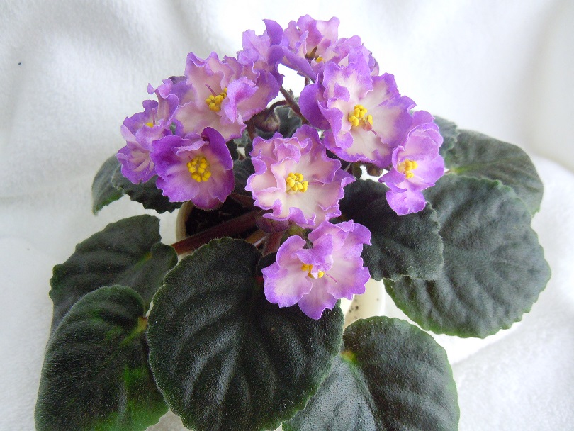 DSCN8842.JPG