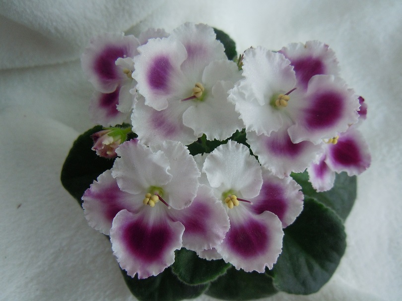DSCN8876.JPG