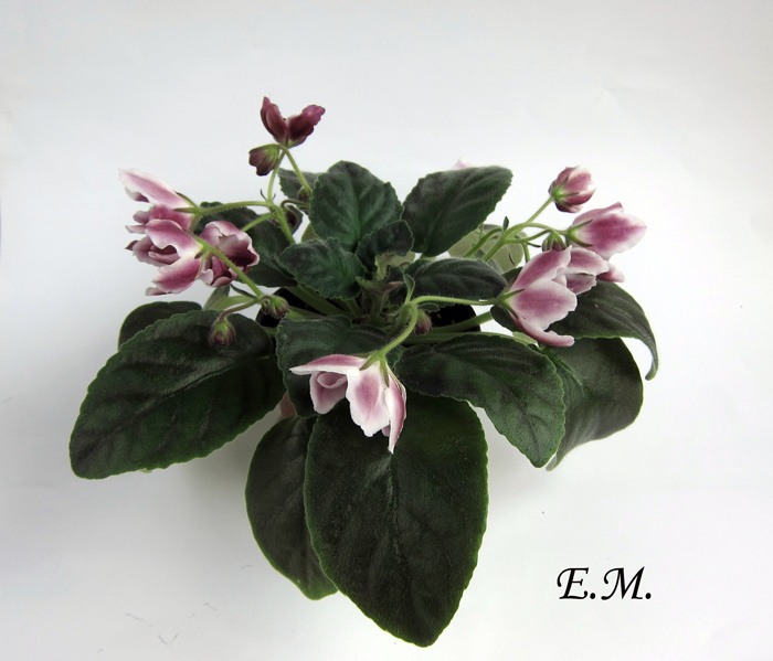 АЕ-Cosmic-Bells.jpg