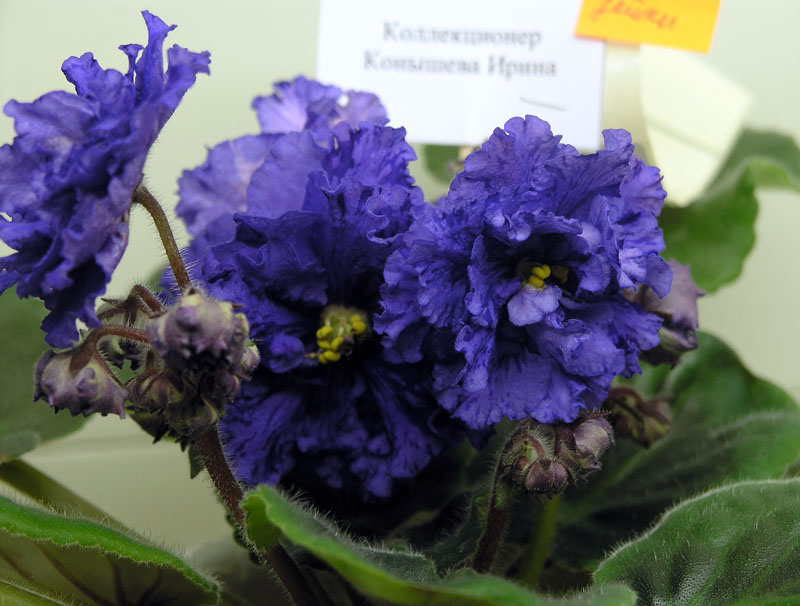 P1044261.JPG