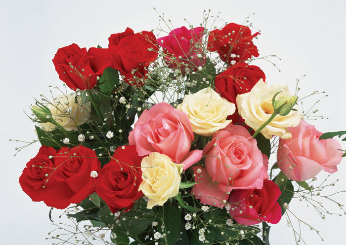 90558810_flowers040_248.jpg
