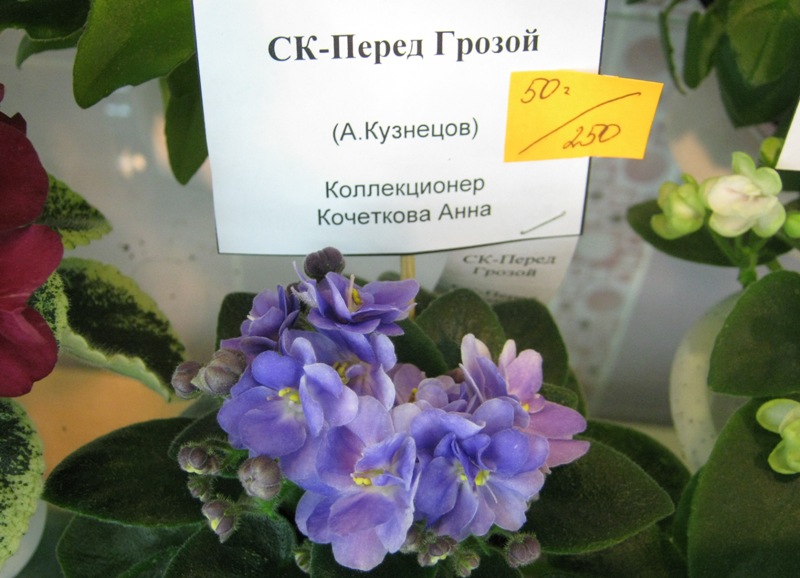 IMG_1092.JPG